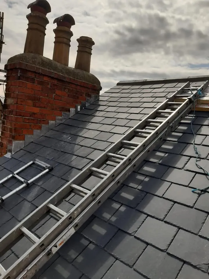 A ladder is on the roof of a house.